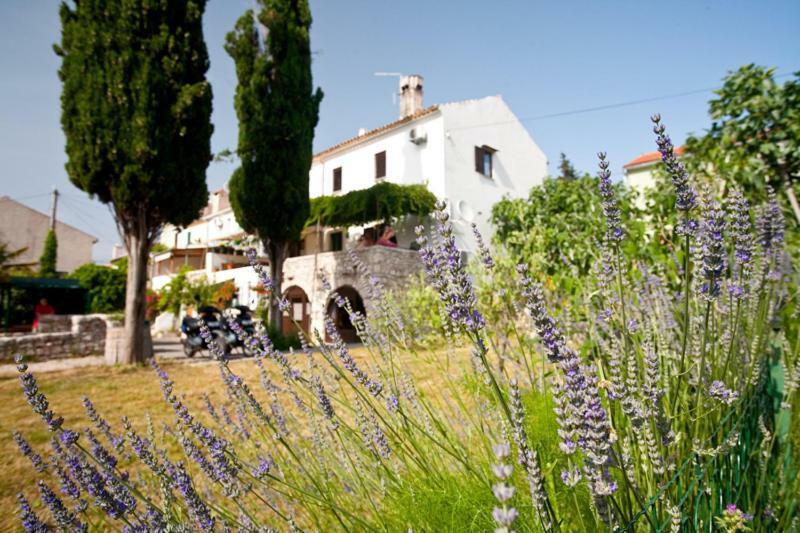Pape Punat Apartmani I Sobe Exterior foto