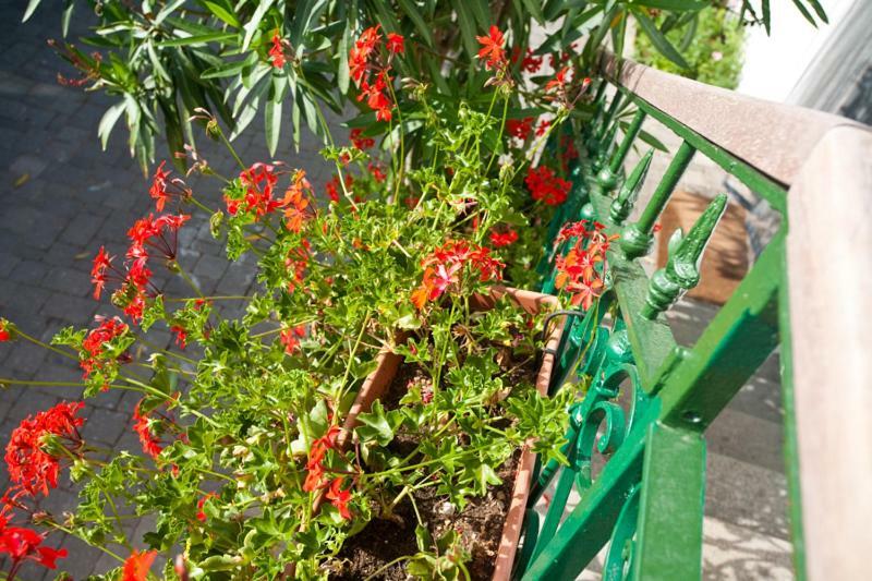 Pape Punat Apartmani I Sobe Exterior foto